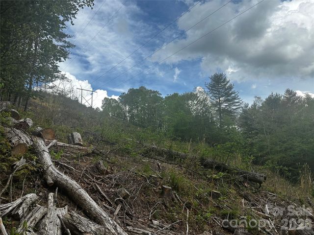 00 McPeters Lane, Burnsville, NC 28714