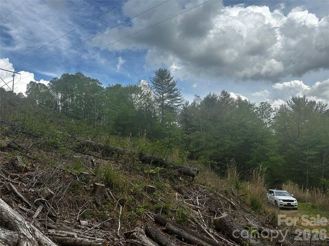 00 McPeters Lane, Burnsville, NC 28714