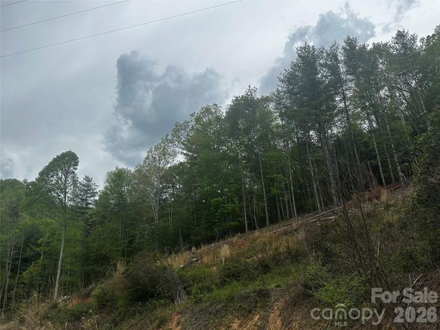 00 McPeters Lane, Burnsville, NC 28714