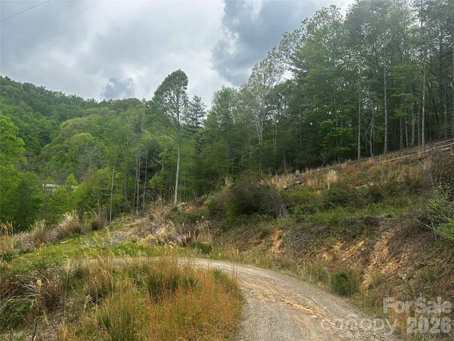 00 McPeters Lane, Burnsville, NC 28714