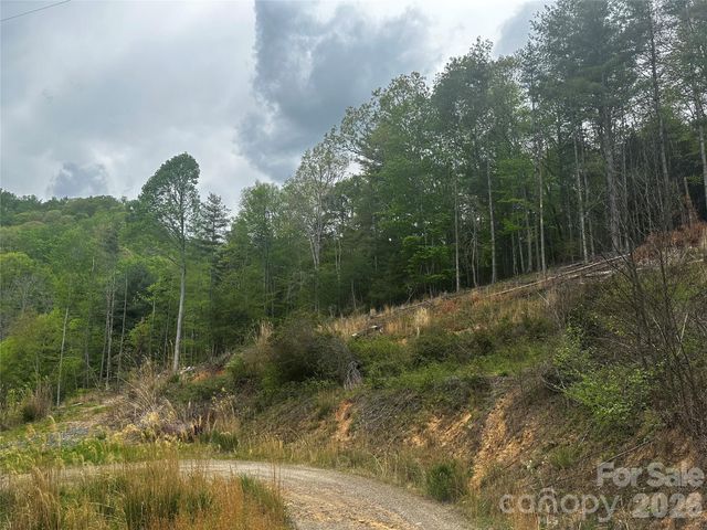 00 McPeters Lane, Burnsville, NC 28714