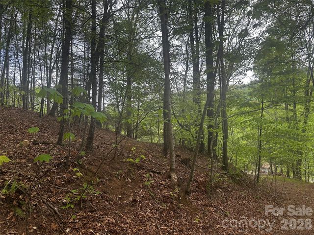 00 McPeters Lane, Burnsville, NC 28714