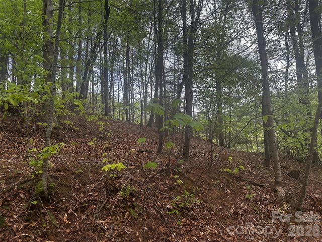 00 McPeters Lane, Burnsville, NC 28714