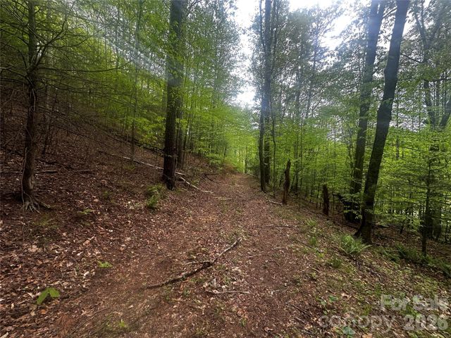 00 McPeters Lane, Burnsville, NC 28714