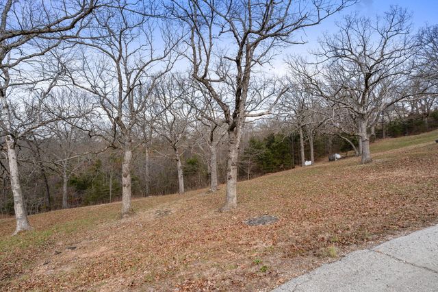 6 Oleary Drive, Kimberling City, MO 65686