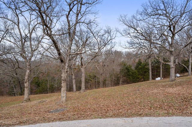 6 Oleary Drive, Kimberling City, MO 65686