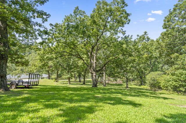 6 Oleary Drive, Kimberling City, MO 65686