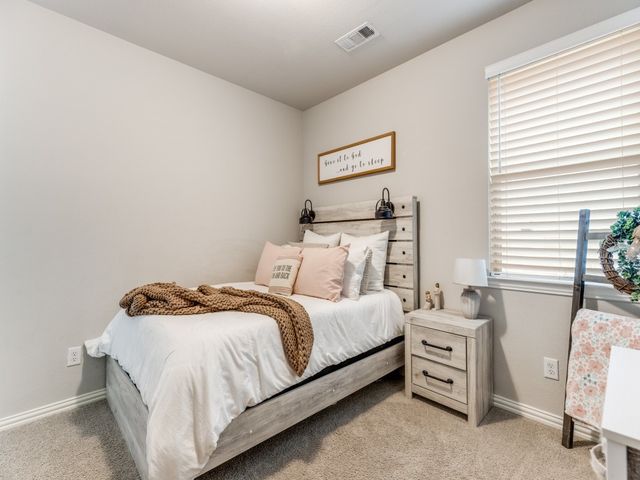 1608 Carnation Street, Celina, TX 75078