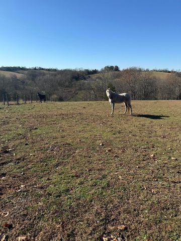 1624 Davis Road, Sadieville, KY 40370