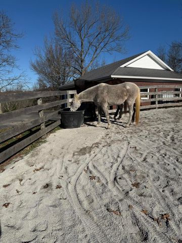 1624 Davis Road, Sadieville, KY 40370