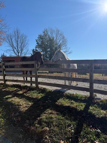 1624 Davis Road, Sadieville, KY 40370