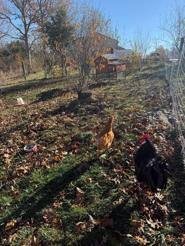 1624 Davis Road, Sadieville, KY 40370