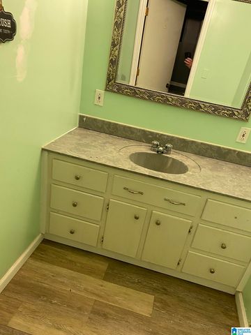 2478 SHORE DRIVE, Ashville, AL 35953
