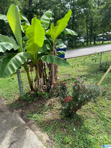 2478 SHORE DRIVE, Ashville, AL 35953