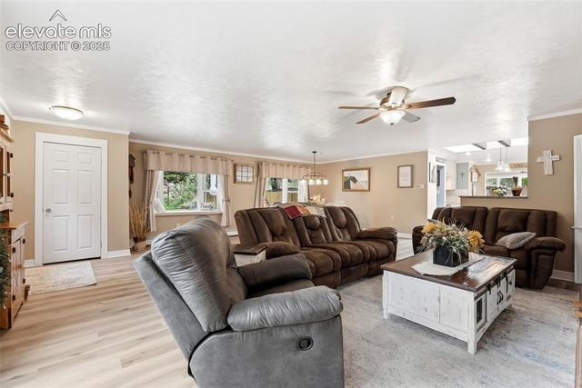6430 Burrows Road, Colorado Springs, CO 80908