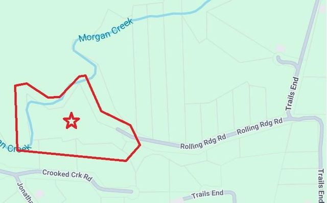 TBD Rolling Ridge Road, Goodrich, TX 77335