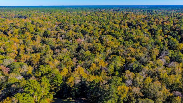 TBD Rolling Ridge Road, Goodrich, TX 77335