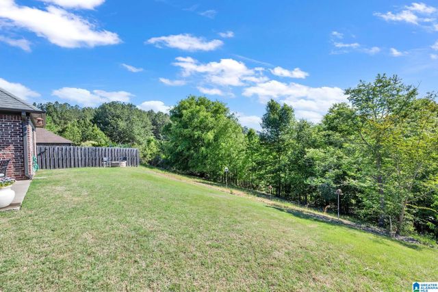 3156 CHELSEA PARK RIDGE, Chelsea, AL 35043