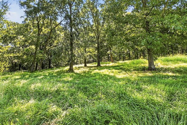9502 E State Highway Ad, Rogersville, MO 65742