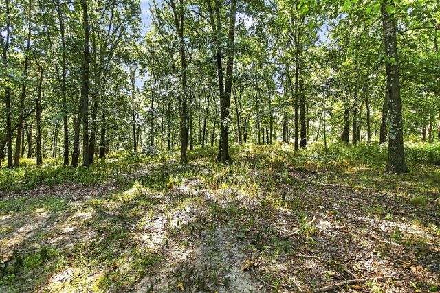 9502 E State Highway Ad, Rogersville, MO 65742