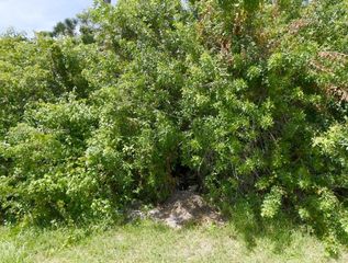 1241 SW Idol, Port St. Lucie, Port St Lucie, FL 34953