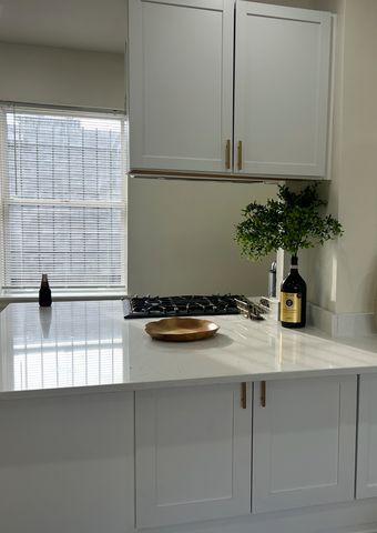 543 E 60TH Street 4, Chicago, IL 60637