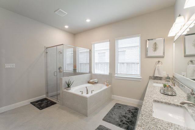 73 Botanical Vista Drive, Tomball, TX 77375