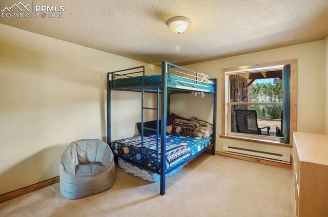 79 Beaver Creek Circle, Florissant, CO 80816