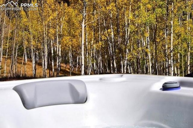 79 Beaver Creek Circle, Florissant, CO 80816