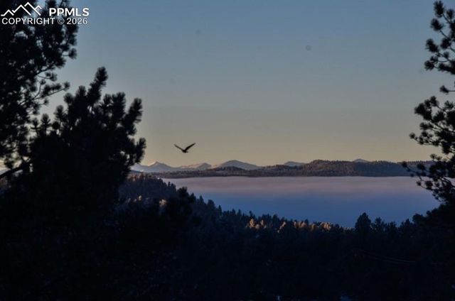 79 Beaver Creek Circle, Florissant, CO 80816