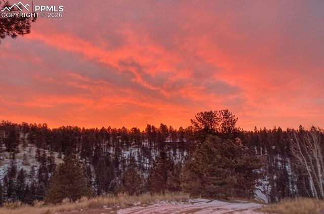 79 Beaver Creek Circle, Florissant, CO 80816