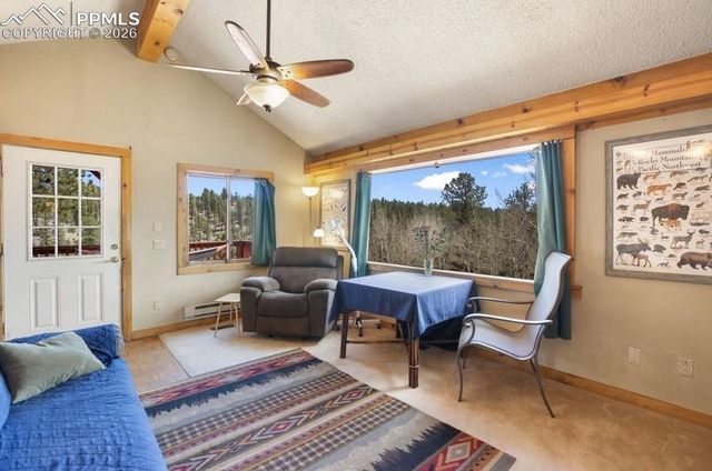 79 Beaver Creek Circle, Florissant, CO 80816
