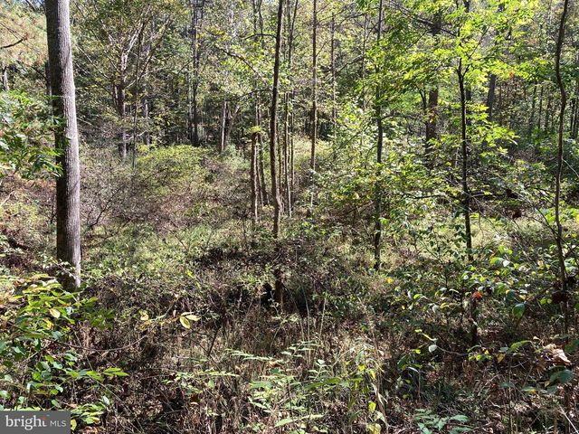 LOT 2 OLD MILL RD, Capon Bridge, WV 26711