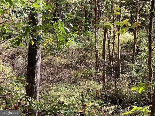 LOT 2 OLD MILL RD, Capon Bridge, WV 26711