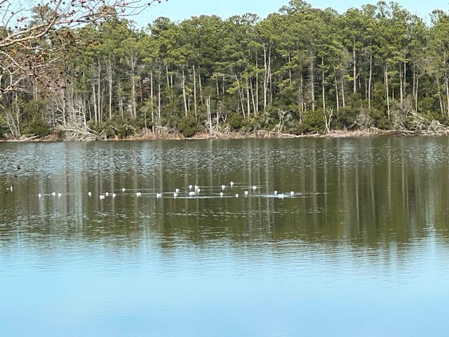 1617 Crystal Lake Dr., Surfside Beach, SC 29575