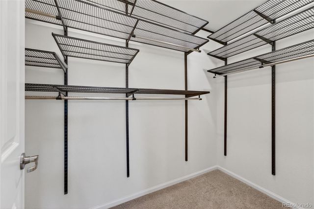 7287 W Adriatic Circle, Lakewood, CO 80227