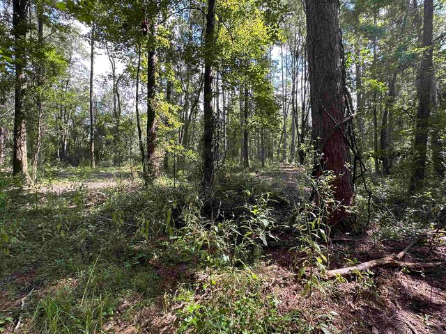 xx Donaldson Williams Road, Crawfordville, FL 32327