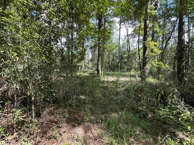 xx Donaldson Williams Road, Crawfordville, FL 32327