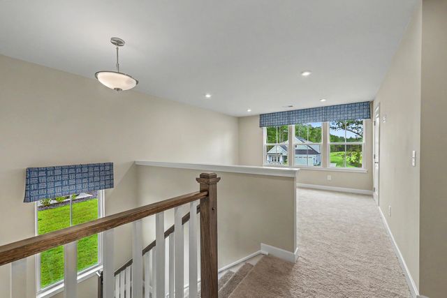 1018 Lacebark Drive, Ridgeville, SC 29472