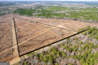 869 Marion-Ripley Road, Dry Branch, GA 31020