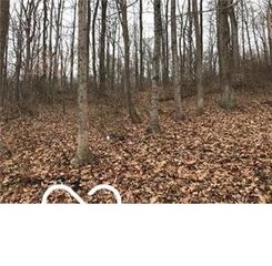 5216 Orange Grove Road, Gosport, IN 47433