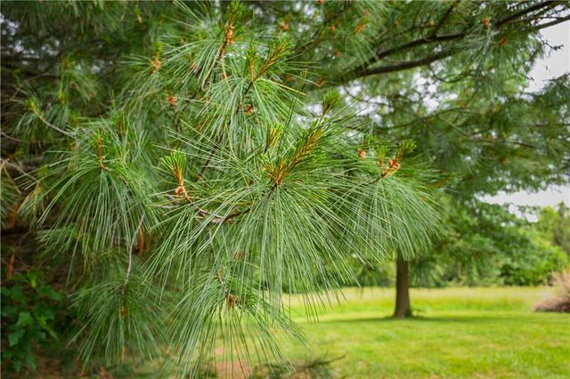 13077 Burns School Road, Higginsville, MO 64037