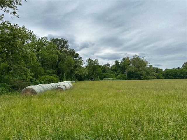 13077 Burns School Road, Higginsville, MO 64037