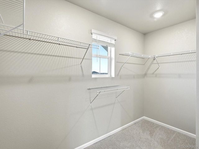 4664 Rabbitbrush St, Johnstown, CO 80534