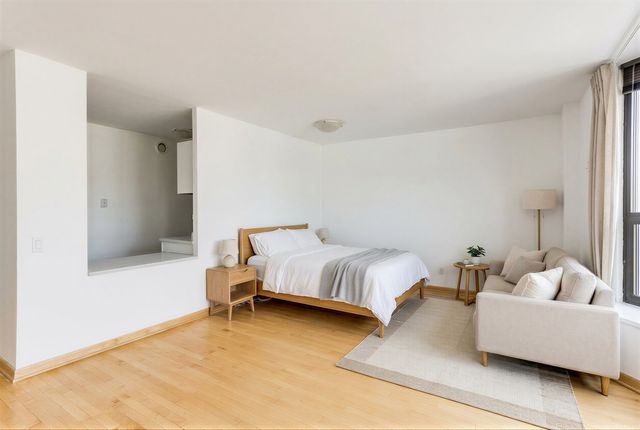 899 S Plymouth Court 2010, Chicago, IL 60605