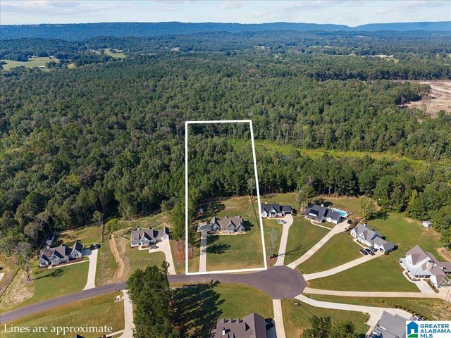 425 STONEWOOD TRAIL, Springville, AL 35146