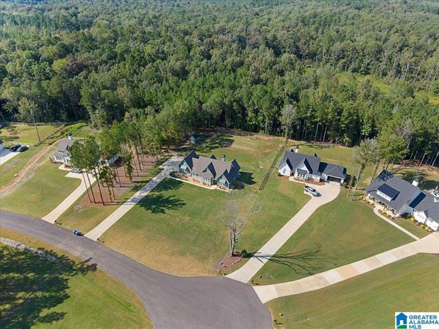 425 STONEWOOD TRAIL, Springville, AL 35146
