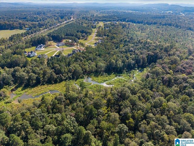 425 STONEWOOD TRAIL, Springville, AL 35146