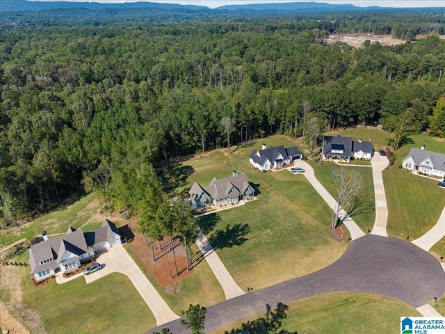 425 STONEWOOD TRAIL, Springville, AL 35146