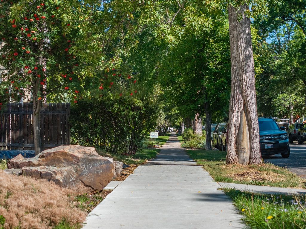 419 S 3rd Avenue, Bozeman, MT 59715 photo 75